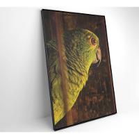 Quadro Papagaio 60x90 Cm Tecido Canvas - 2