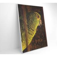 Quadro Papagaio 60x90 Cm Tecido Canvas - 8