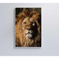 Quadro Leão 80x120 Cm Tecido Canvas - 5