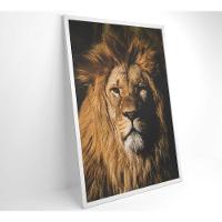 Quadro Leão 80x120 Cm Tecido Canvas - 11