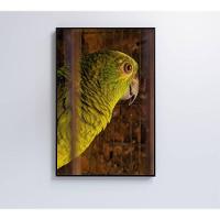 Quadro Papagaio 80x120 Cm Tecido Canvas - 3