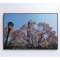 Quadro árvore Cerejeira 2 60x40 Cm Tecido Canvas - 2