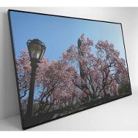 Quadro árvore Cerejeira 2 60x40 Cm Tecido Canvas