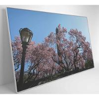 Quadro árvore Cerejeira 2 60x40 Cm Tecido Canvas - 7