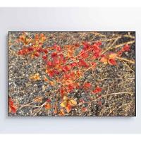 Quadro Galhos E Flores 60x40 Cm Tecido Canvas - 2