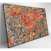 Quadro Galhos E Flores 60x40 Cm Tecido Canvas - 3