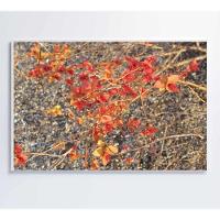 Quadro Galhos E Flores 60x40 Cm Tecido Canvas - 6