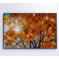 Quadro Ipê Amarelo 2 120x80 Cm Tecido Canvas - 2