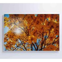 Quadro Ipê Amarelo 2 120x80 Cm Tecido Canvas - 6