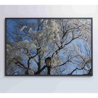Quadro árvore Cerejeira 90x60 Cm Tecido Canvas - 3