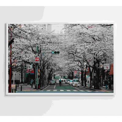 Quadro Cerejeiras Na Cidade 60x40 Cm Tecido Canvas