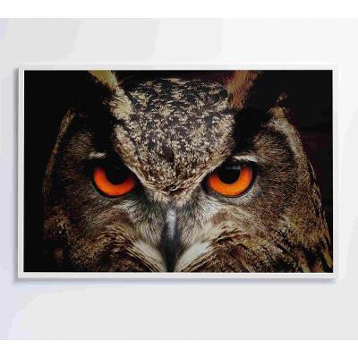 Quadro Coruja 90x60 Cm Vidro Impresso