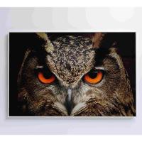 Quadro Coruja 90x60 Cm Vidro Impresso - 5