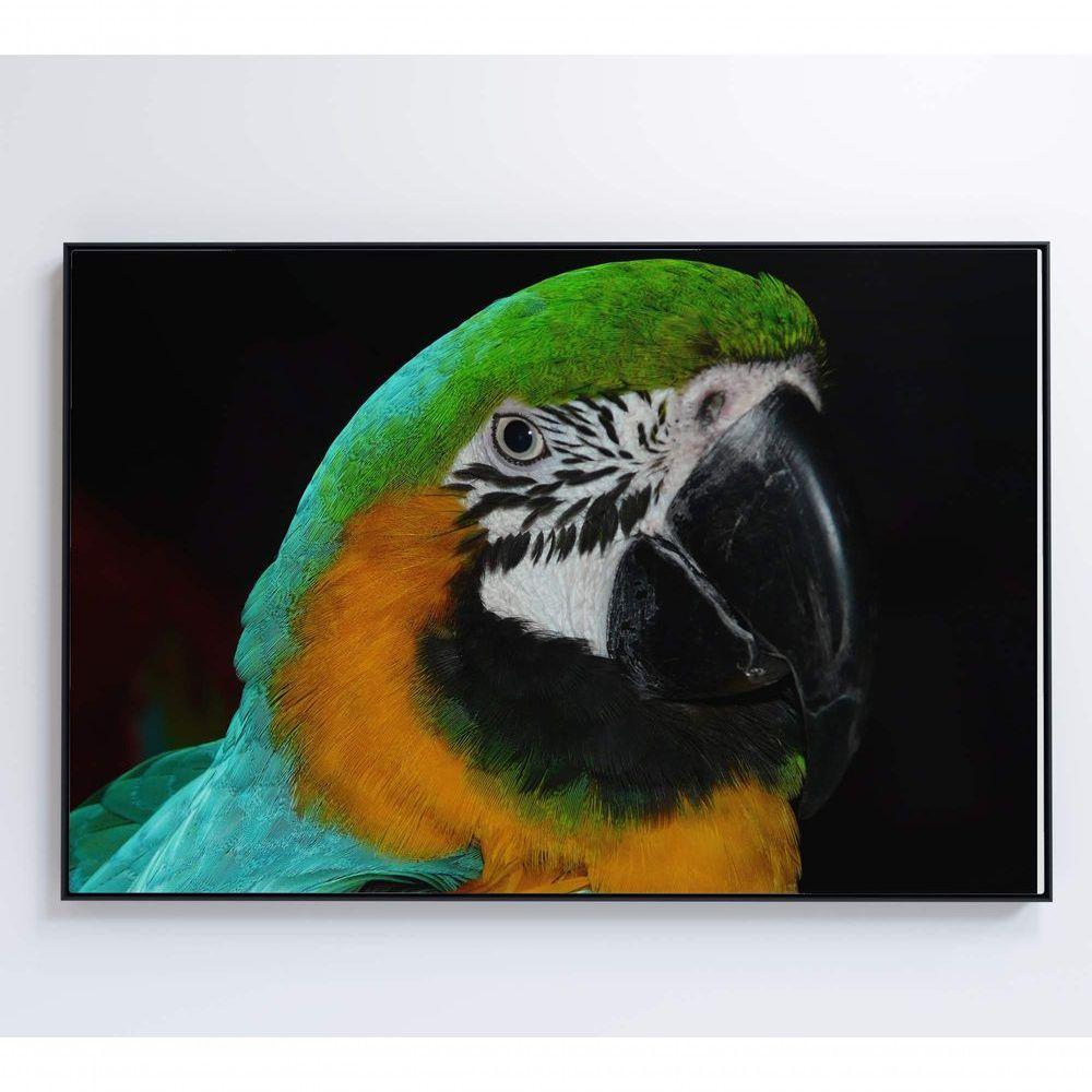 Quadro Arara Verde 120x80 Cm Tecido Canvas - 2