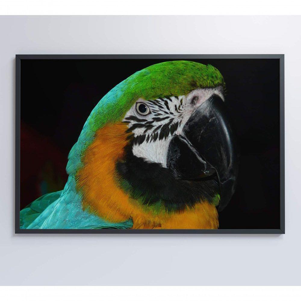 Quadro Arara Verde 120x80 Cm Tecido Canvas - 3