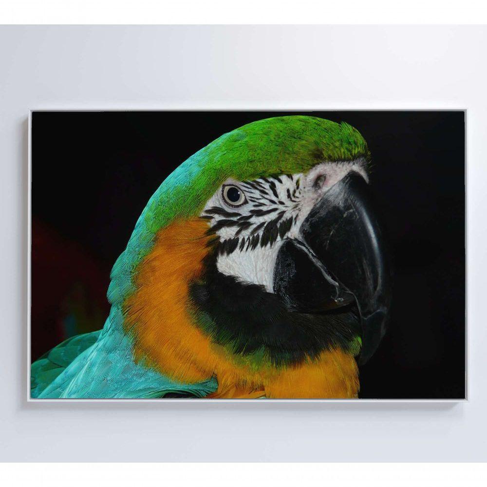 Quadro Arara Verde 120x80 Cm Tecido Canvas - 6