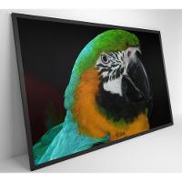 Quadro Arara Verde 120x80 Cm Tecido Canvas - 5