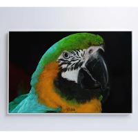 Quadro Arara Verde 120x80 Cm Tecido Canvas - 6