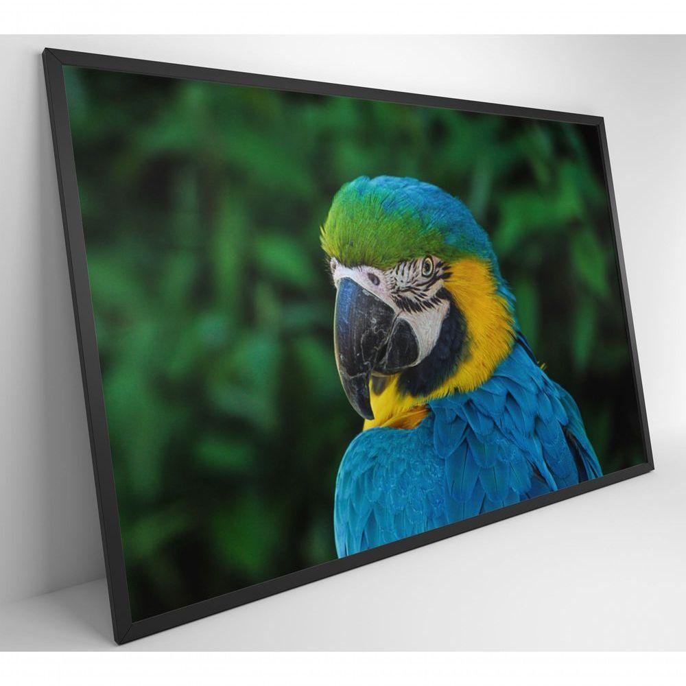 Quadro Arara 60x40 Cm Adesivo Fotográfico - 6