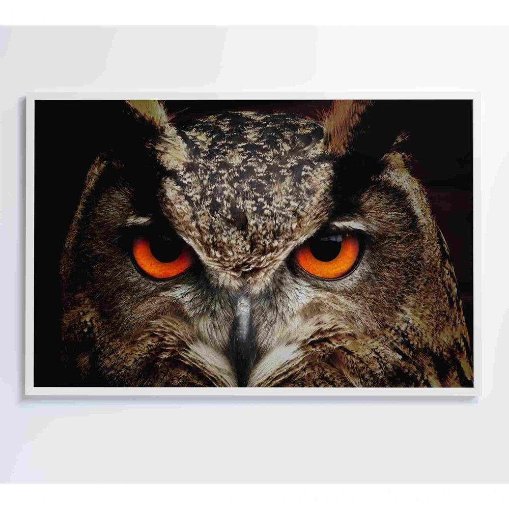 Quadro Coruja 60x40 Cm Adesivo Fotográfico - 1