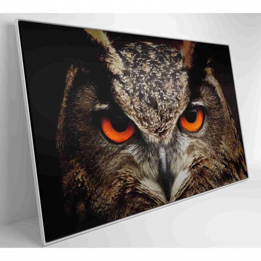 Quadro Coruja 60x40 Cm Adesivo Fotográfico - 5
