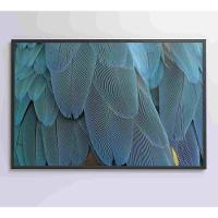 Quadro Penas Azuis 60x40 Cm Tecido Canvas - 3
