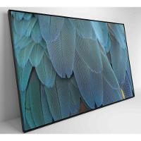 Quadro Penas Azuis 60x40 Cm Tecido Canvas