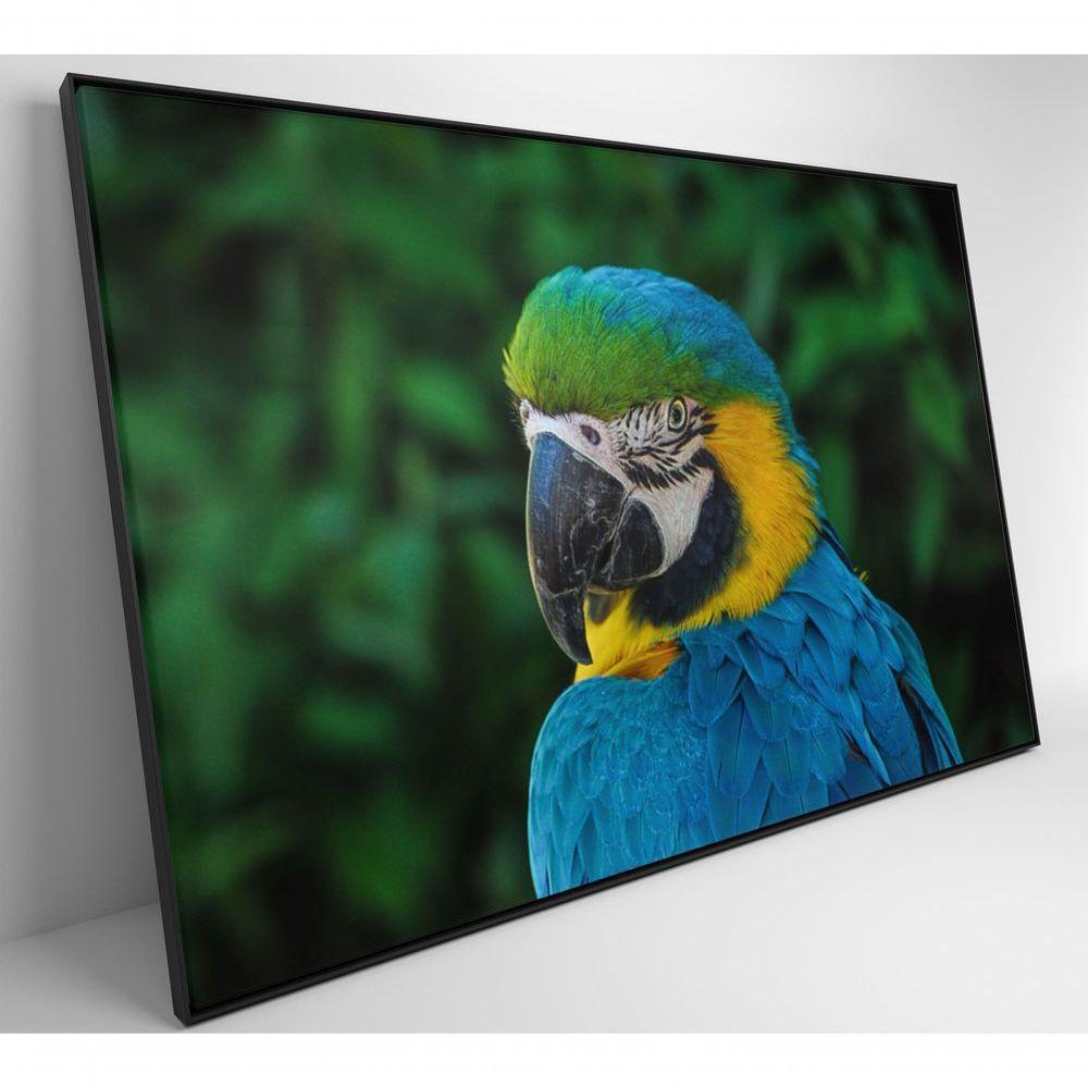 Quadro Arara 60x40 Cm Tecido Canvas - 9