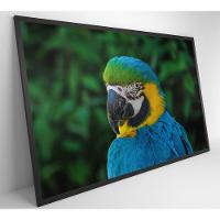 Quadro Arara 60x40 Cm Tecido Canvas - 12
