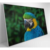 Quadro Arara 60x40 Cm Tecido Canvas - 18