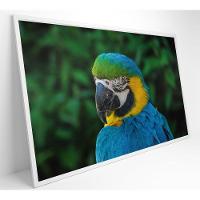 Quadro Arara 60x40 Cm Tecido Canvas - 21