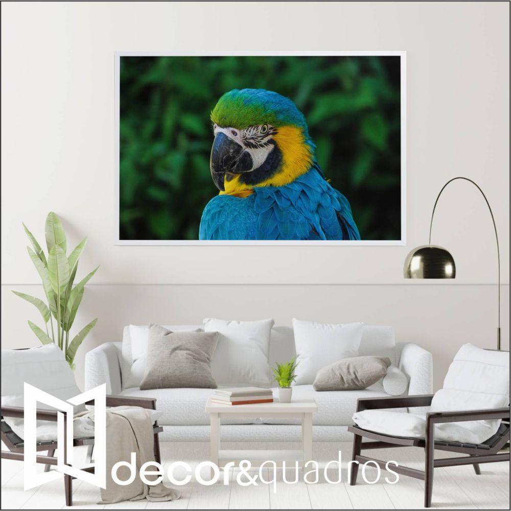 Quadro Arara 90x60 Cm Tecido Canvas - 1