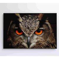 Quadro Coruja 120x80 Cm Vidro Impresso - 2