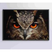 Quadro Coruja 120x80 Cm Vidro Impresso