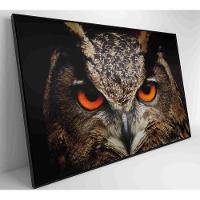 Quadro Coruja 120x80 Cm Vidro Impresso - 7