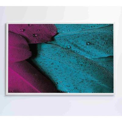 Quadro Penas Coloridas 60x40 Cm Vidro Impresso