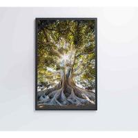 Quadro árvore 80x120 Cm Tecido Canvas - 11