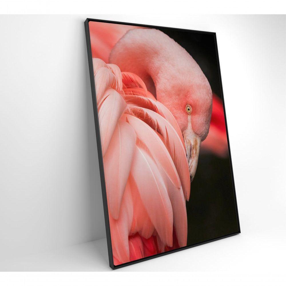 Quadro Flamingo 60x90 Cm Tecido Canvas - 8
