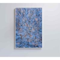 Quadro árvores Secas Neve 80x120 Cm Vidro Impresso - 1