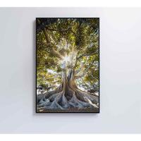 Quadro árvore 60x90 Cm Tecido Canvas - 3
