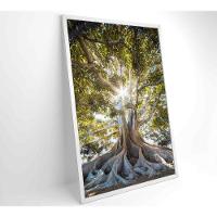 Quadro árvore 40x60 Cm Vidro Impresso - 6