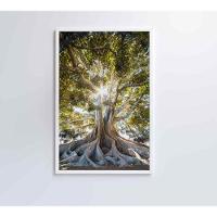 Quadro árvore 40x60 Cm Vidro Impresso - 8