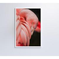 Quadro Flamingo 60x90 Cm Vidro Impresso - 7