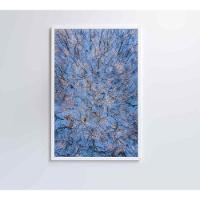 Quadro árvores Secas Neve 60x90 Cm Vidro Impresso - 5