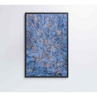 Quadro árvores Secas Neve 60x90 Cm Vidro Impresso - 7