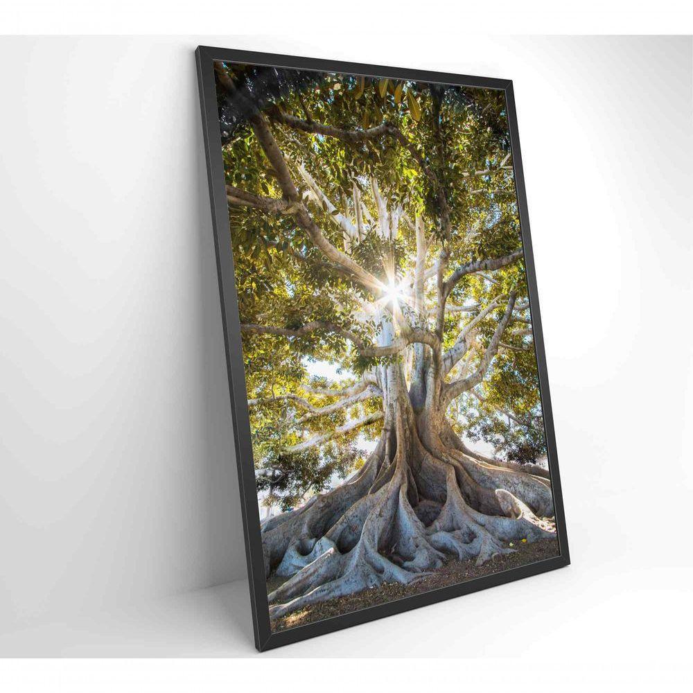 Quadro árvore 40x60 Cm Tecido Canvas - 6