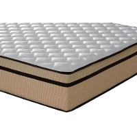 Colchão Casal Ortopédico D45 / EP Anatômico Selectus Euro Pillow (138x188x24) - Plumatex - 3