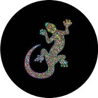 Capa Estepe Ecosport Fox + Cabo + Cadeado Calango - 1