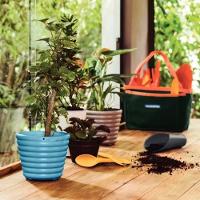 Kit Utensílios Para Vaso Cocoon Grafite Tramontina - 2