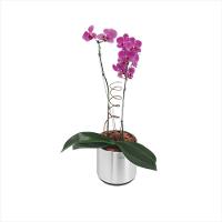 Lixeira Inox Tramontina Portofino Scotch Brite e Aro sem Tampa 10 Litros - 2